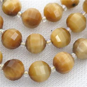 gold Tiger eye stone lantern Beads, approx 10mm dia [GB13161-10MM]