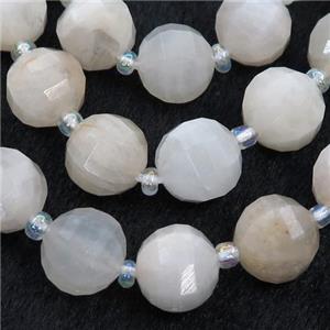 white MoonStone lantern beads, approx 10mm dia [GB13178-10MM]