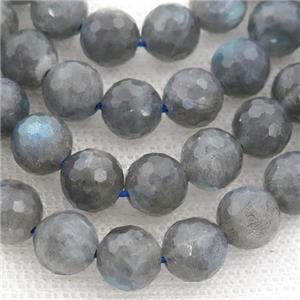 faceted round Labradorite Beads, approx 10mm dia [GB13257-10MM]