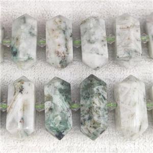green Tree Agate bullet beads, approx 12-30mm [GB13904]