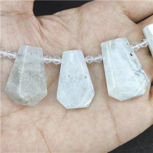 white Moonstone teardrop beads, top-drilled, approx 12-27mm [GB13920]