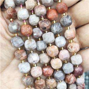 Coral Fossil Beads, multicolor, faceted cube, approx 8-9mm [GB13978]