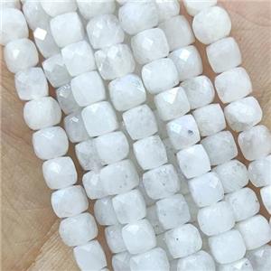 white MoonStone Beads, faceted cube, approx 4mm [GB14156]