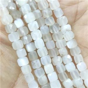 gray Moonstone cube beads, approx 4.5mm [GB14158]