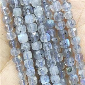 faceted Labradorite cube Beads, approx 4mm [GB14178]