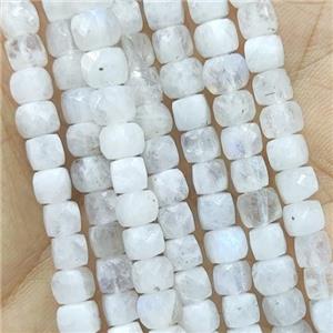 white Moonstone Beads, faceted cube, approx 4.5mm [GB14210]