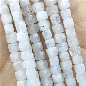 white Moonstone Beads, faceted cube, approx 5mm [GB14233]