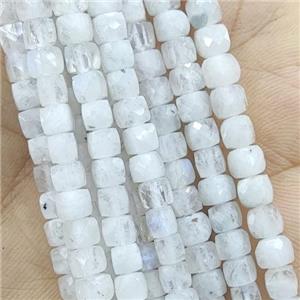 rainbow Moonstone Beads, faceted cube, approx 4mm [GB14247]