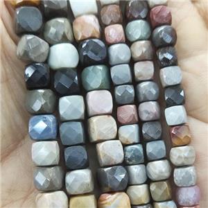 Ocean Jasper Beads, faceted cube, approx 5mm [GB14270]
