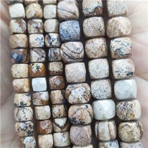 Picture Jasper Beads, faceted cube, approx 7mm [GB14271-7MM]