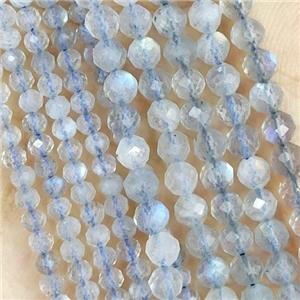 Labradorite Beads Faceted Round, approx 4mm dia [GB14394-4MM]