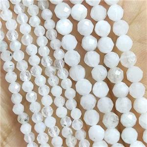 White MoonStone Seed Beads Faceted Round, approx 3mm dia [GB14418-3MM]
