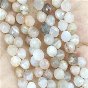 MoonStone Teardrop Beads Mix Top-drilled, approx 6mm [GB14554]