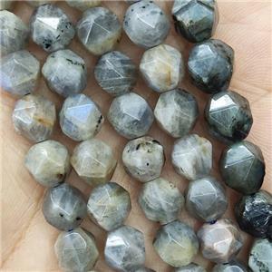Labradorite Beads Cut Round, approx 9-10mm [GB14679-10MM]