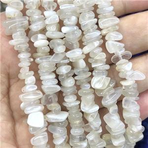 Gray MoonStone Chip Beads, approx 5-8mm, 32inch length [GB14729]