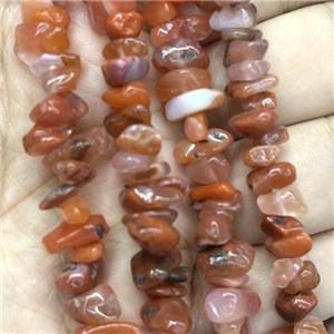 Red Carnelian Agate Chip Beads Freeform, approx 5-8mm, 32inch length [GB14737]