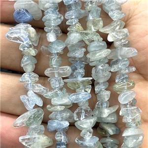 Blue Aquamarine Chip Beads Freeform, approx 5-8mm, 32inch length [GB14777]