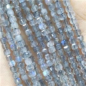 Labradorite Beads Faceted Cube, approx 2.5mm [GB15168]
