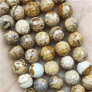 Picture Jasper Beads Faceted Round, approx 10mm dia [GB15268-10MM]