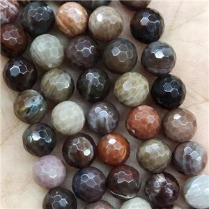Wood Petrified Jasper Beads Faceted Round, approx 8mm dia [GB15270-8MM]