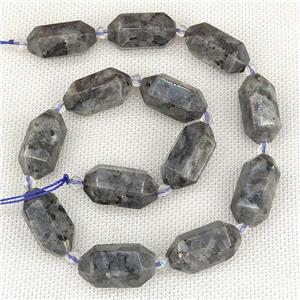Black Labradorite Beads Prism, approx 13-27mm, 12pcs per st [GB15716]