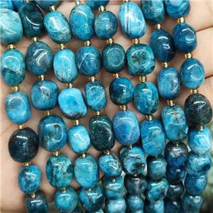 Blue Apatite Nugget Beads Freeform Polished, approx 10-15mm [GB15760]