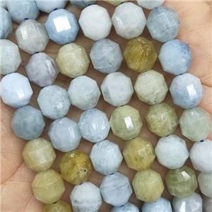 Natural Aquamarine Prism Beads Multicolor, approx 10mm [GB15899-10MM]