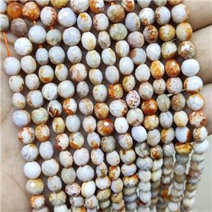 Coral Fossil Beads Faceted Coin B-Grade, approx 6mm [GB15973]