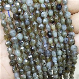 Labradorite Beads Faceted Coin, approx 6mm [GB15976]
