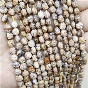 Picture Jasper Beads Faceted Coin, approx 6mm [GB15982]