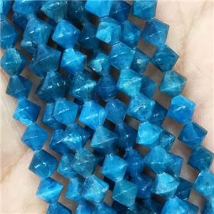 Blue Apatite Beads Bicone, approx 6mm [GB16136]