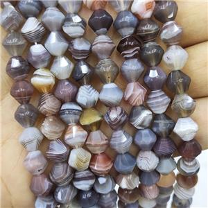 Natural Botswana Agate Beads Bicone, approx 8mm [GB16422]