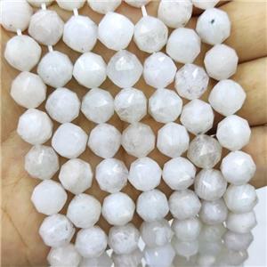 Natural White Moonstone Beads Cut Round, approx 8mm [GB16452]