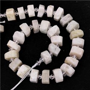 Natural White Heishi Beads Cut, approx 14-18mm [GB16570]