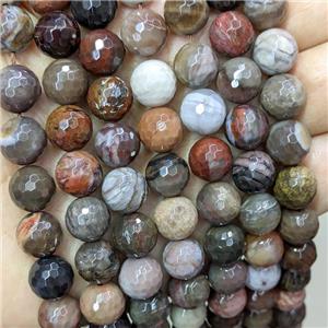 Natural Wood Petrified Jasper Beads Faceted Round Multicolor, approx 12mm dia [GB16889-12MM]