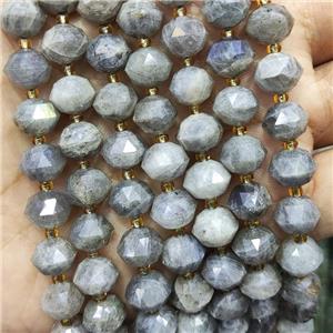 Natural Labradorite Beads Cut Rondelle, approx 9-10mm [GB16961]