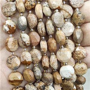 Natural Picture Jasper Beads Faceted Circle, approx 12mm [GB17041]