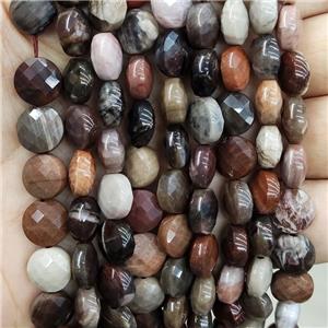 Natural Wood Petrified Jasper Beads Multicolor Faceted Circle, approx 10mm [GB17052]