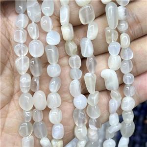 Natural Moonstone Chips Beads Gray Freeform, approx 5-8mm [GB17192]