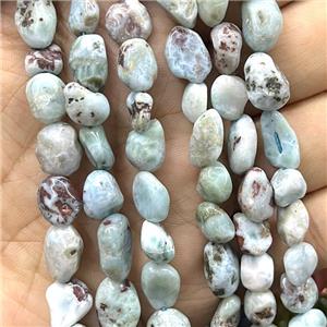 Natural Larimar Chips Beads Blue Freeform, approx 8-10mm [GB17217]