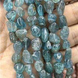 Blue Apatite Chips Beads Freeform, approx 8-10mm [GB17233]