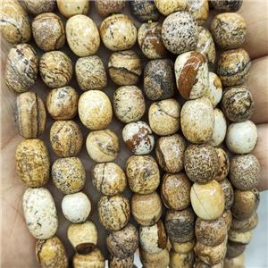 Natural Picture Jasper Chips Beads Freeform, approx 6-9mm [GB17318]
