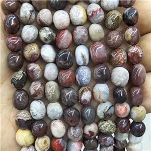 Natural Crazy Lace Agate Chips Beads Freeform Multicolor, approx 6-9mm [GB17344]