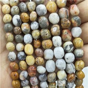 Natural Yellow Crazy Lace Agate Chips Beads Freeform, approx 6-9mm [GB17350-6X9MM]