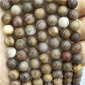 Natural Wood Petrified Jasper Beads Smooth Round, approx 8mm dia [GB17383-8MM]