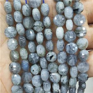 Natural Labradorite Beads Faceted Circle, approx 8mm [GB17946]