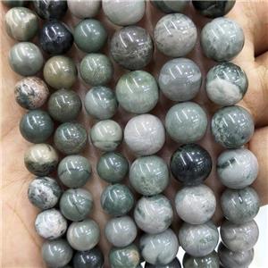 Natural Mud Jasper Beads Green Smooth Round, approx 6mm dia [GB18110-6MM]