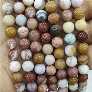 Natural Wood Petrified Jasper Beads Multicolor Smooth Round, approx 8mm dia [GB18165-8MM]