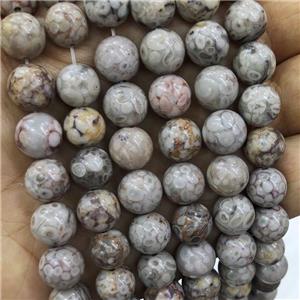 Maifanite Jasper Beads Gray Smooth Round, approx 6mm dia [GB18226-6MM]