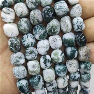 Natural Green Tree Agate Chips Beads Freeform, approx 9-12mm [GB18271]
